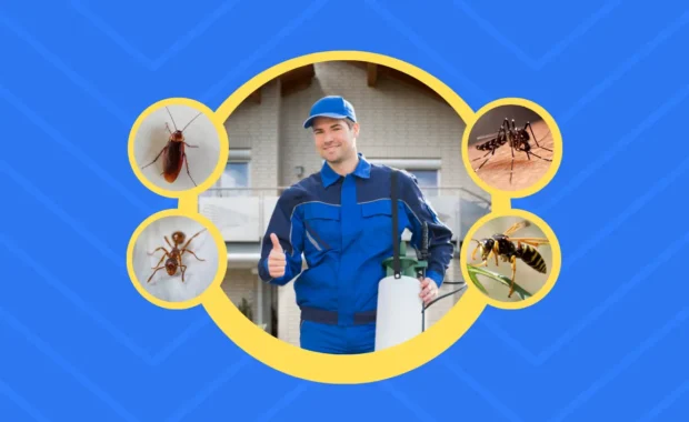 What is The Most Important Reason for Controlling Pests?