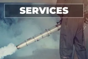 E.D Service